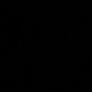 Meet your Posher, Shana